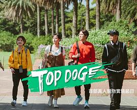 91泡芙视频《TOP DOG》免费在线观看