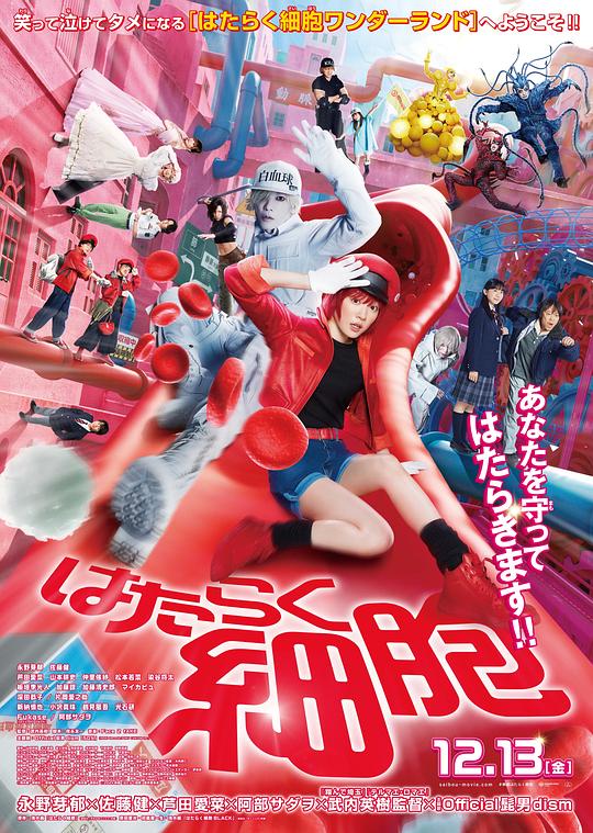 91泡芙《工作细胞 真人版 はたらく細胞》免费在线观看